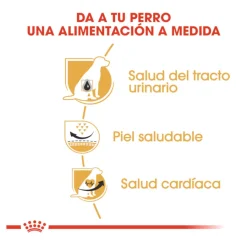 Royal Canin Adult Dálmata pienso para perros