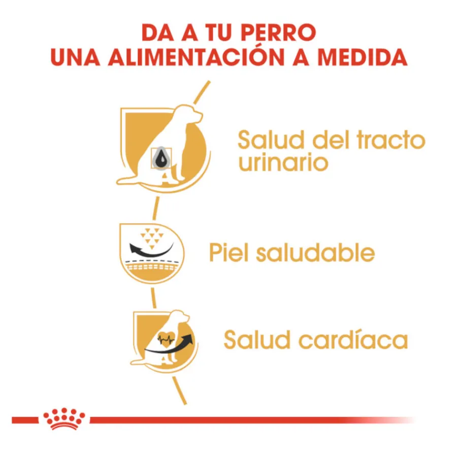 Royal Canin Adult Dálmata pienso para perros