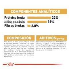 Royal Canin Adult Dálmata pienso para perros