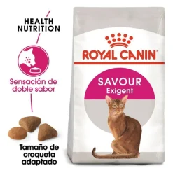 Royal Canin Adult Exigent Savour pienso para gatos Best