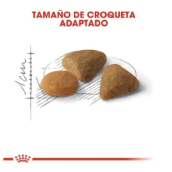 Royal Canin Adult Exigent Savour pienso para gatos Best