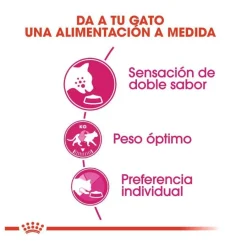 Royal Canin Adult Exigent Savour pienso para gatos Best