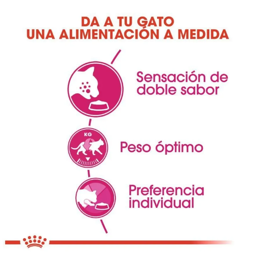 Royal Canin Adult Exigent Savour pienso para gatos Best
