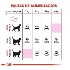 Royal Canin Adult Exigent Savour pienso para gatos Best