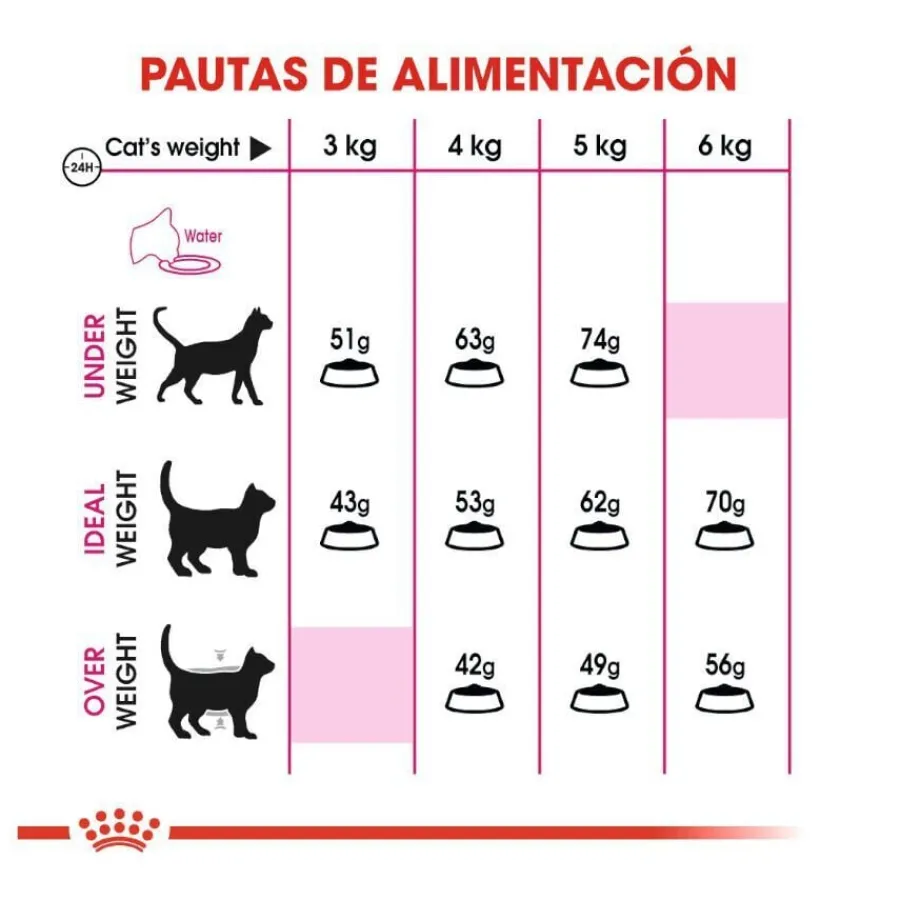 Royal Canin Adult Exigent Savour pienso para gatos Best