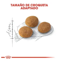 Royal Canin Adult Exigent Aroma pienso para gatos New