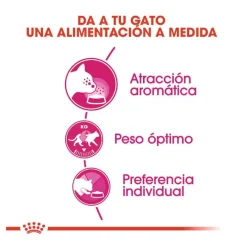 Royal Canin Adult Exigent Aroma pienso para gatos New