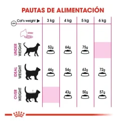 Royal Canin Adult Exigent Aroma pienso para gatos New