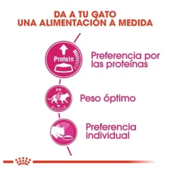 Royal Canin Adult Exigent Protein pienso para gatos Online