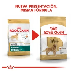 Royal Canin Adult Golden Retriever pienso para perros