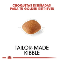 Royal Canin Adult Golden Retriever pienso para perros
