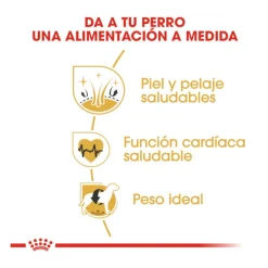 Royal Canin Adult Golden Retriever pienso para perros