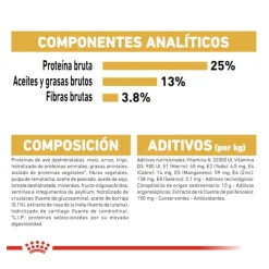 Royal Canin Adult Golden Retriever pienso para perros
