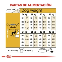 Royal Canin Adult Golden Retriever pienso para perros