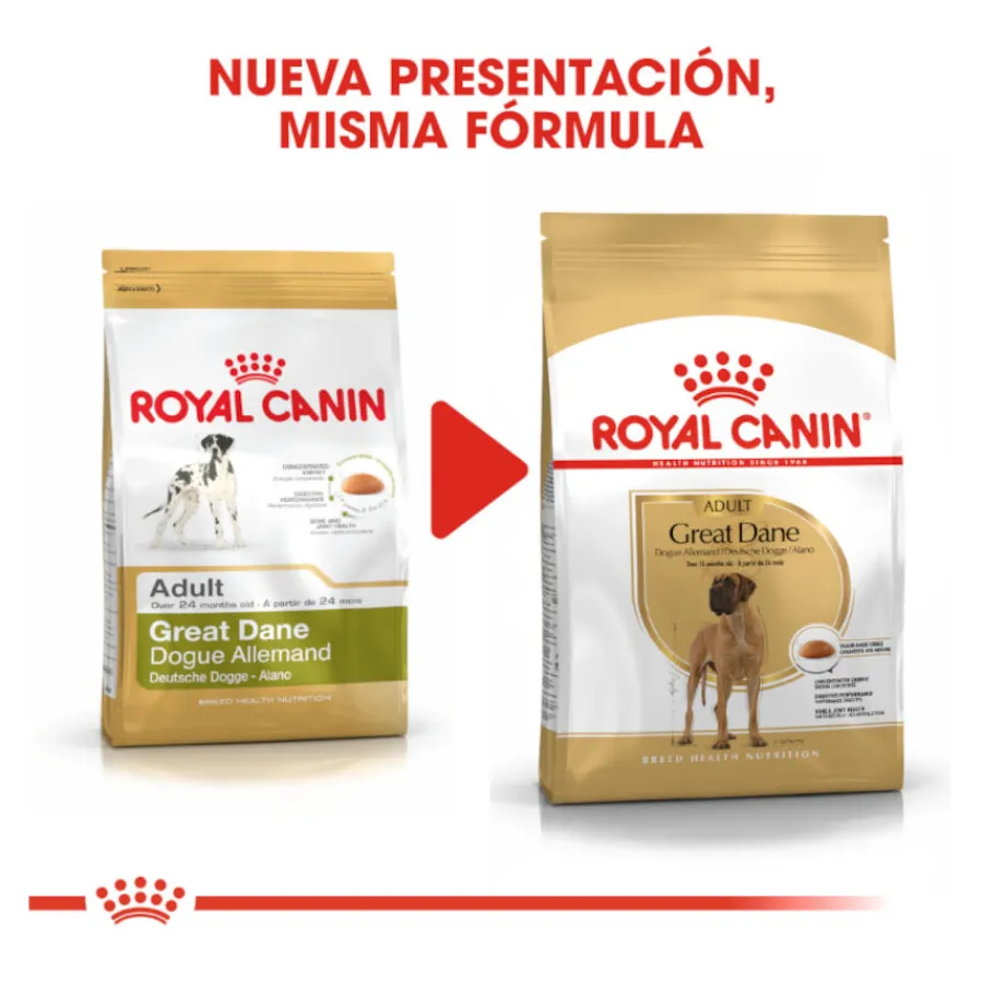 Royal Canin Adult Great Dane pienso para perros New