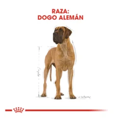 Royal Canin Adult Great Dane pienso para perros New