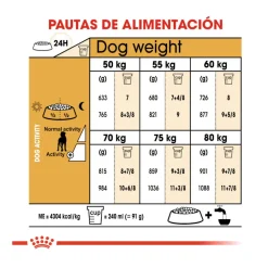 Royal Canin Adult Great Dane pienso para perros New