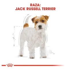 Royal Canin Adult Jack Russell Terrier pienso para perros Discount