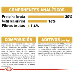Royal Canin Adult Jack Russell Terrier pienso para perros Discount