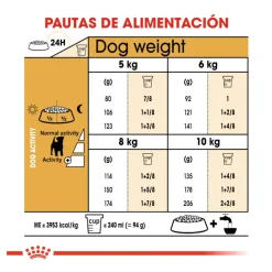 Royal Canin Adult Jack Russell Terrier pienso para perros Discount
