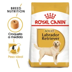 Royal Canin Adult Labrador Retriever pienso para perros Clearance