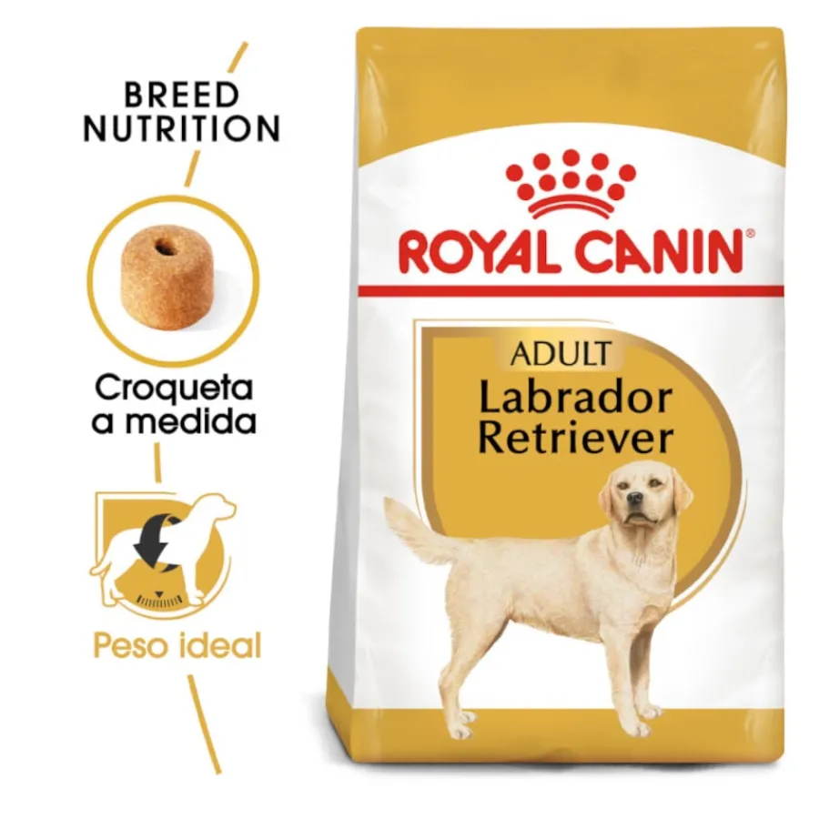 Royal Canin Adult Labrador Retriever pienso para perros Clearance