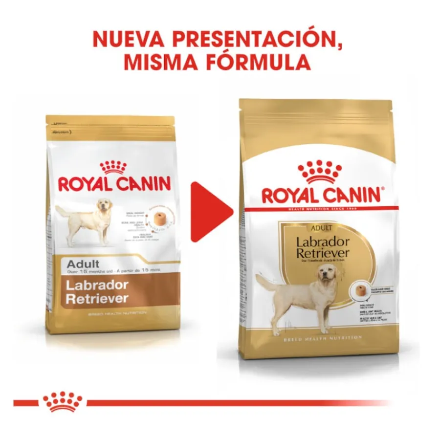 Royal Canin Adult Labrador Retriever pienso para perros Clearance
