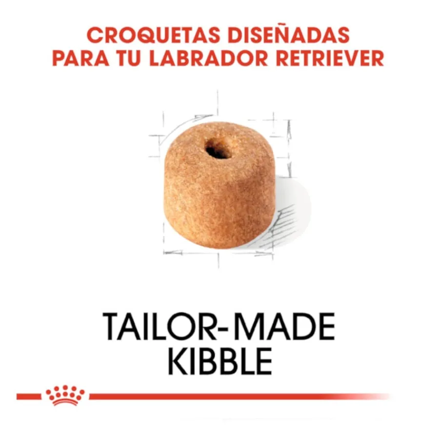 Royal Canin Adult Labrador Retriever pienso para perros Clearance