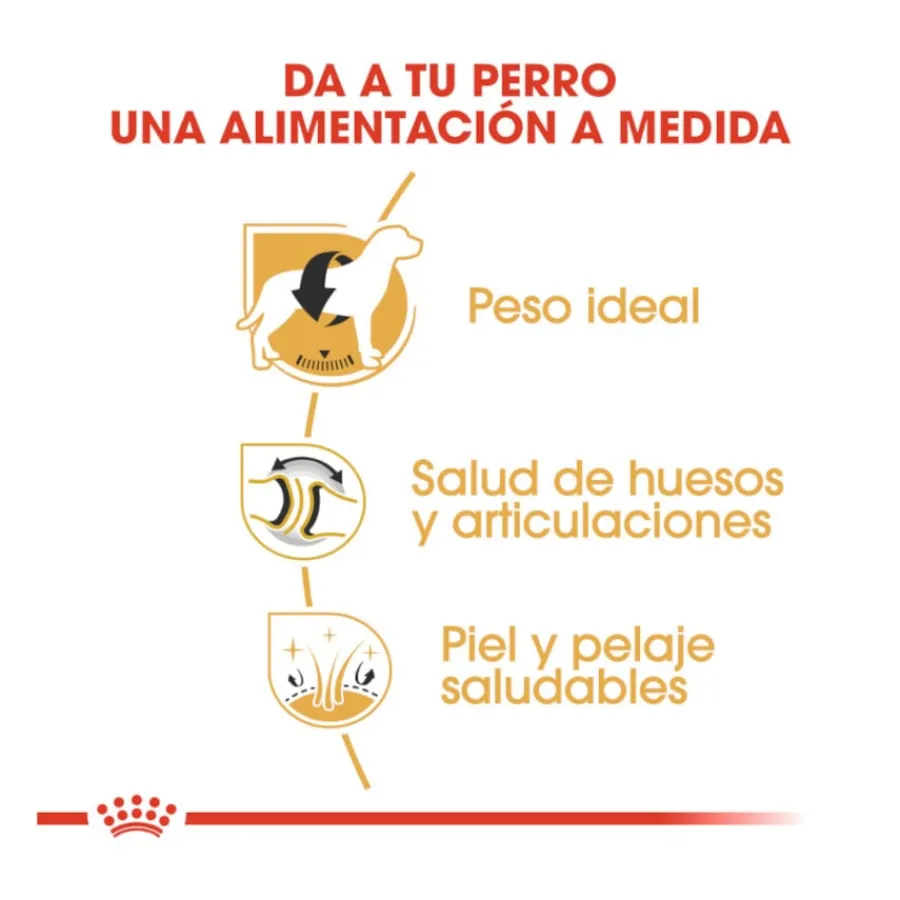 Royal Canin Adult Labrador Retriever pienso para perros Clearance