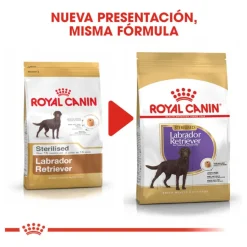 Royal Canin Adult Labrador Sterilised pienso para perros Discount