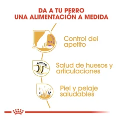 Royal Canin Adult Labrador Sterilised pienso para perros Discount