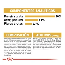 Royal Canin Adult Labrador Sterilised pienso para perros Discount