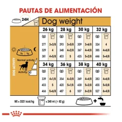 Royal Canin Adult Labrador Sterilised pienso para perros Discount