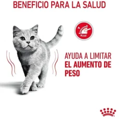 Royal Canin Adult Light Weight Care pienso para gatos Outlet