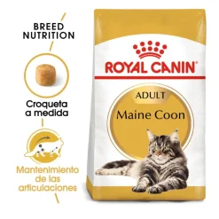 Royal Canin Adult Maine Coon pienso para gatos New
