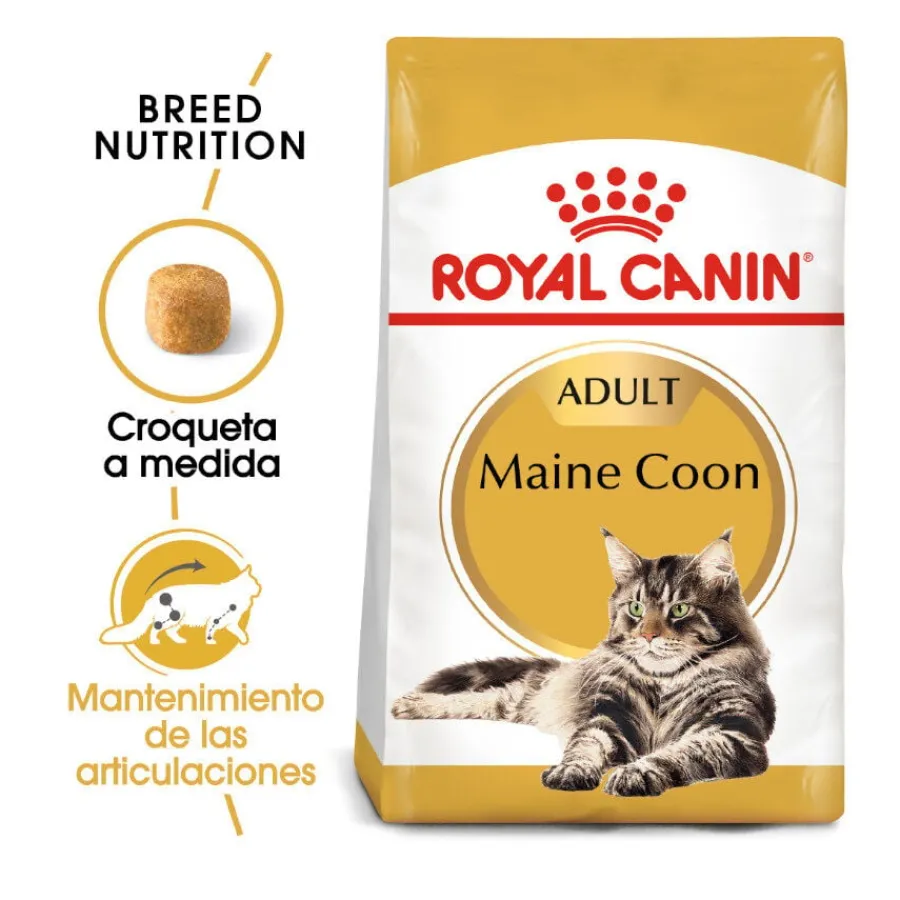 Royal Canin Adult Maine Coon pienso para gatos New