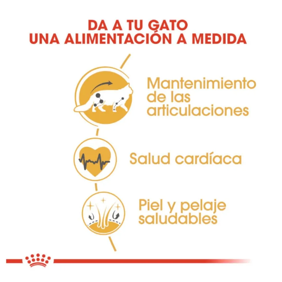 Royal Canin Adult Maine Coon pienso para gatos New