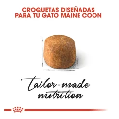 Royal Canin Adult Maine Coon pienso para gatos New
