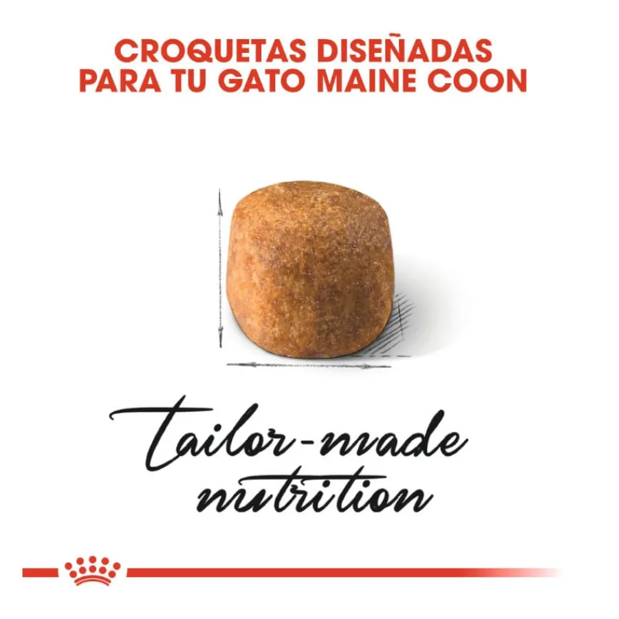 Royal Canin Adult Maine Coon pienso para gatos New