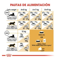 Royal Canin Adult Maine Coon pienso para gatos New
