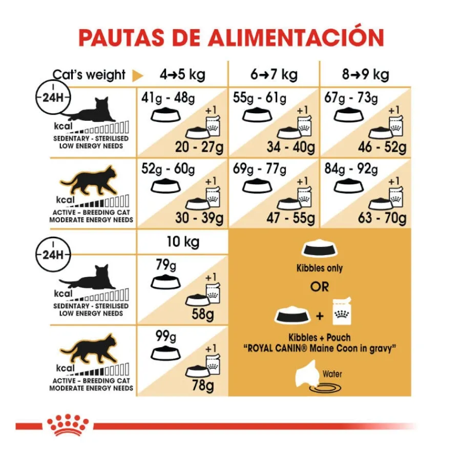 Royal Canin Adult Maine Coon pienso para gatos New