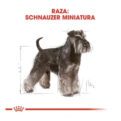 Royal Canin Adult Miniature Schnauzer pienso para perros Online
