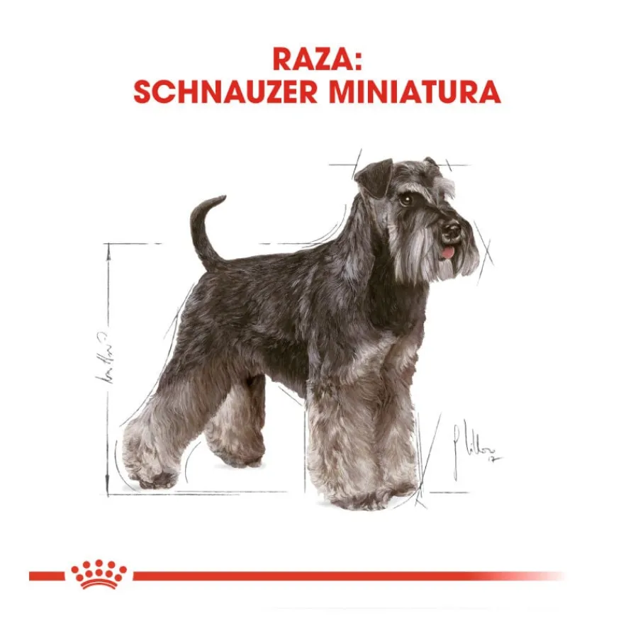 Royal Canin Adult Miniature Schnauzer pienso para perros Online