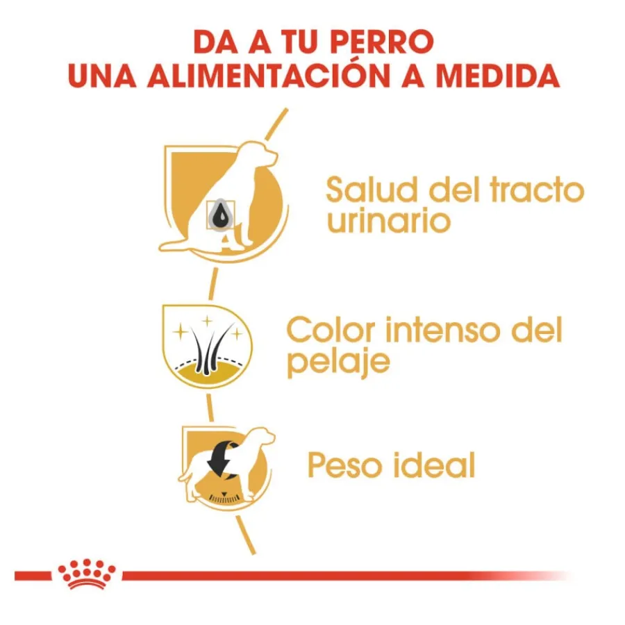 Royal Canin Adult Miniature Schnauzer pienso para perros Online