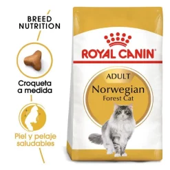 Royal Canin Adult Norwegian Forest pienso para gatos