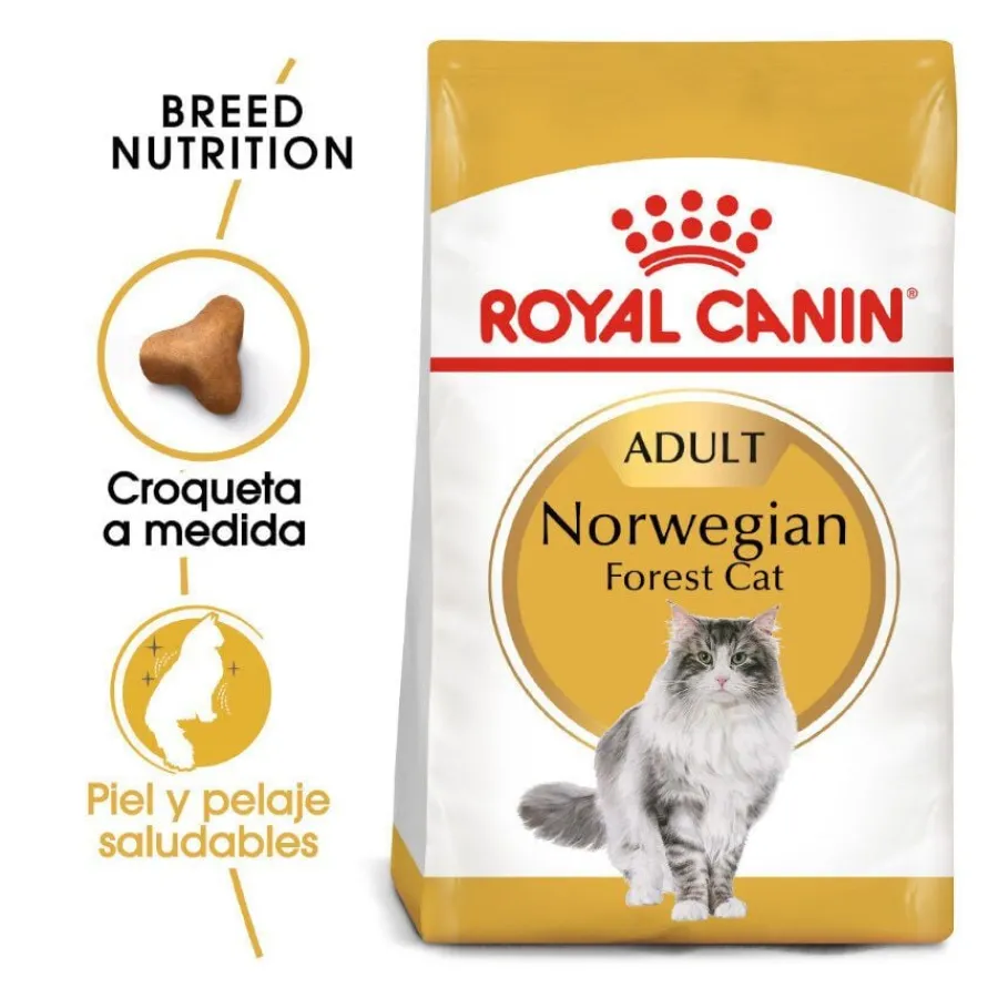 Royal Canin Adult Norwegian Forest pienso para gatos