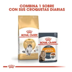 Royal Canin Adult Norwegian Forest pienso para gatos