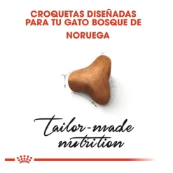 Royal Canin Adult Norwegian Forest pienso para gatos