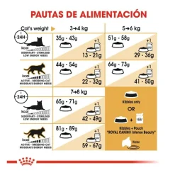 Royal Canin Adult Norwegian Forest pienso para gatos