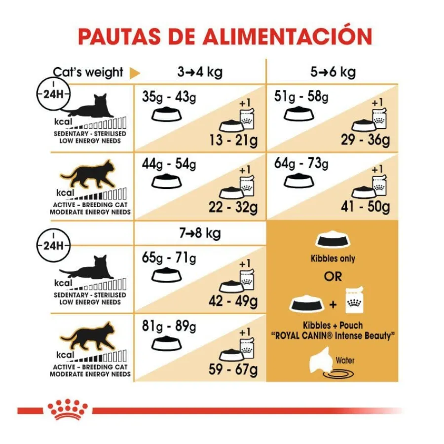 Royal Canin Adult Norwegian Forest pienso para gatos